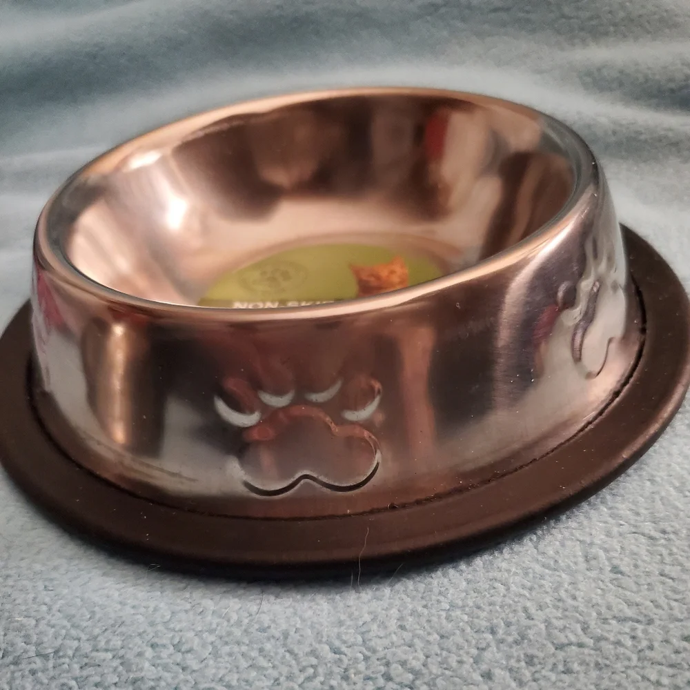 Non-Skid Cat/Puppy Bowl